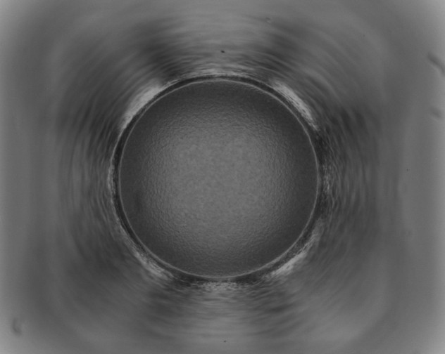 X0000091480893200708231358