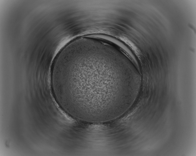 X0000091480894200708231358