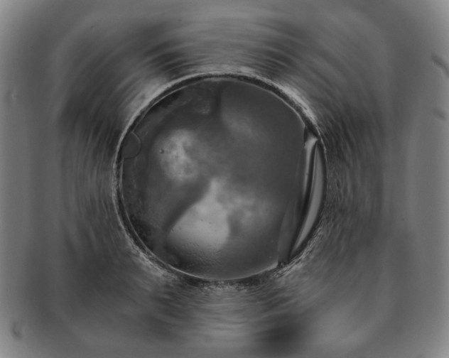 X0000091480895200708231358