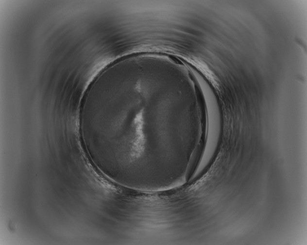 X0000091480896200708231358