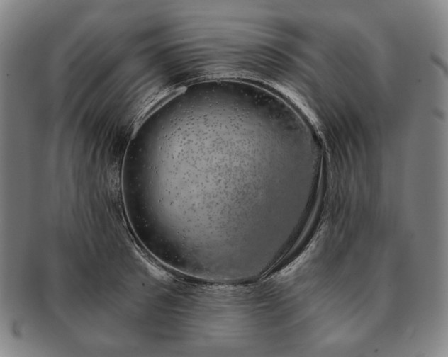 X0000091480897200708231358