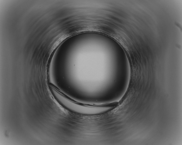 X0000091480898200708231358