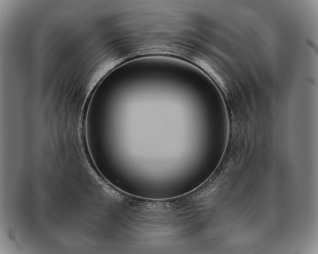 X0000091480901200708231358