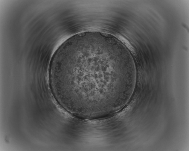 X0000091480904200708231358