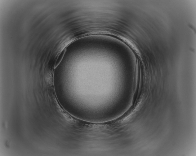 X0000091480905200708231358