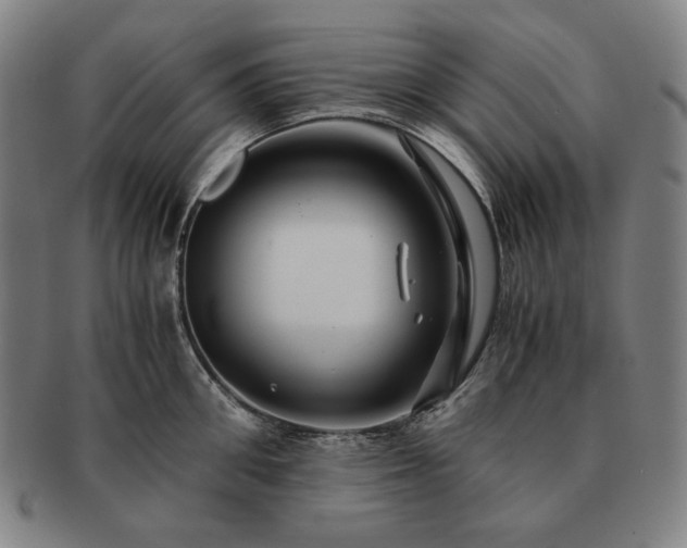 X0000091480906200708231358