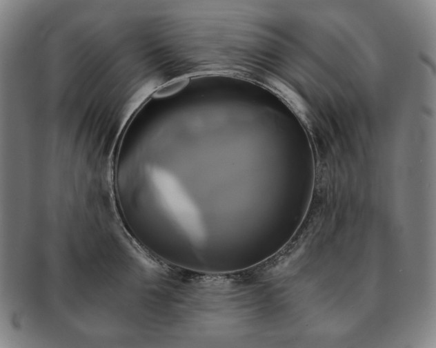 X0000091480907200708231358