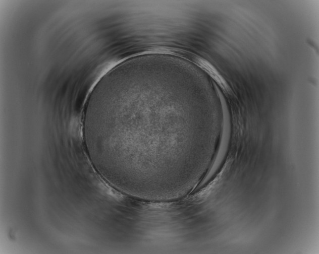 X0000091480908200708231358