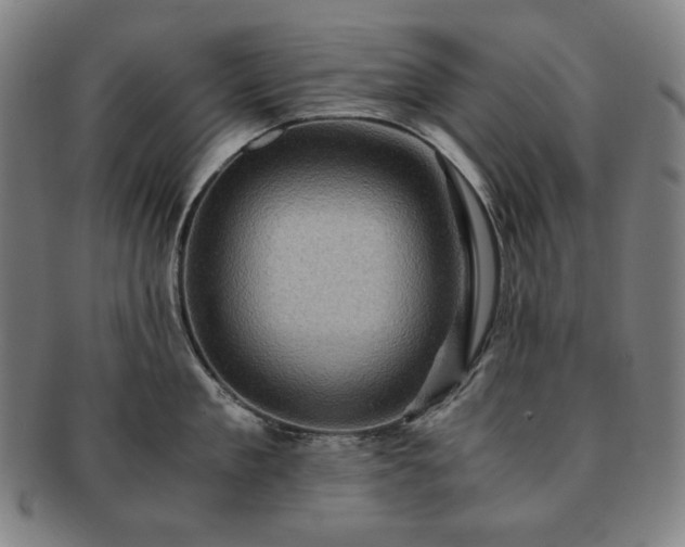 X0000091480909200708231358