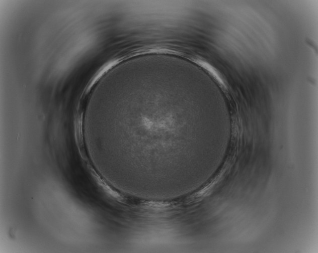 X0000091480910200708231358