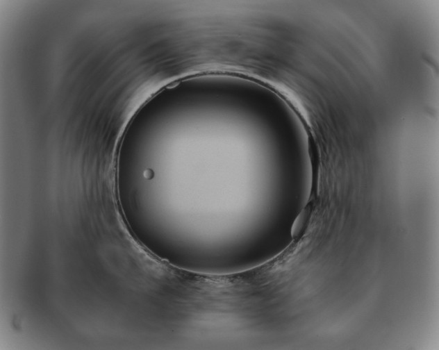 X0000091480911200708231358