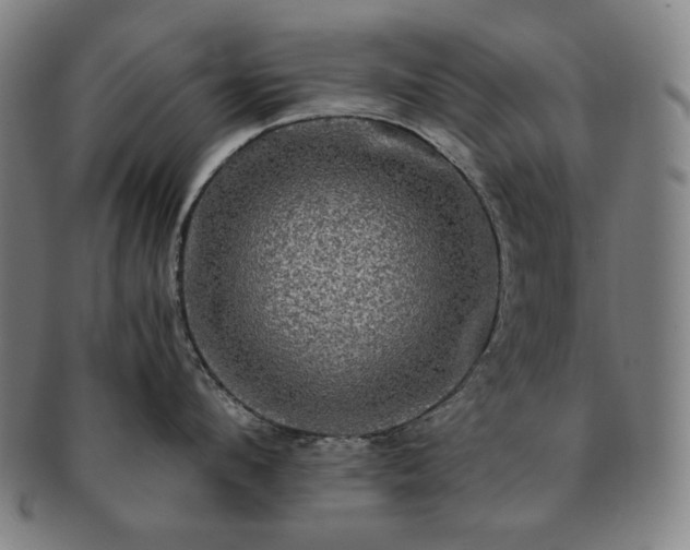 X0000091480912200708231358