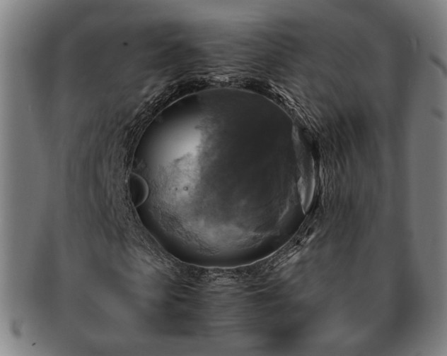 X0000091480913200708231357