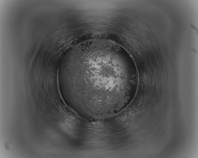X0000091480914200708231357