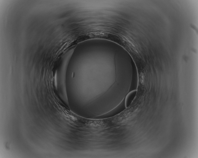 X0000091480915200708231357