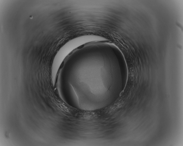 X0000091480916200708231357