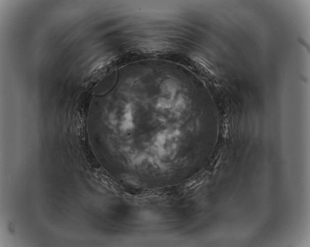 X0000091480917200708231357