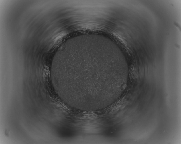 X0000091480918200708231357