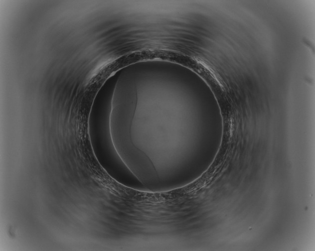 X0000091480919200708231357