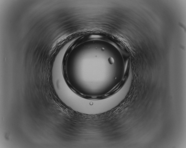 X0000091480920200708231357