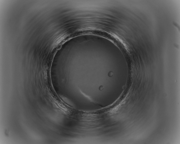 X0000091480921200708231357