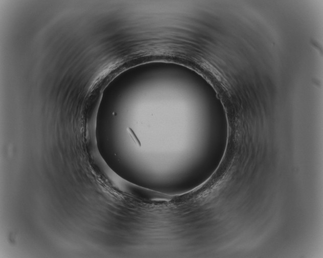 X0000091480922200708231357