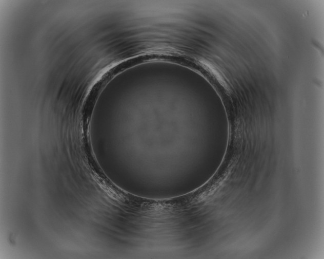 X0000091480923200708231357