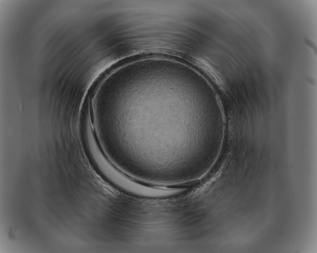 X0000091480924200708231357