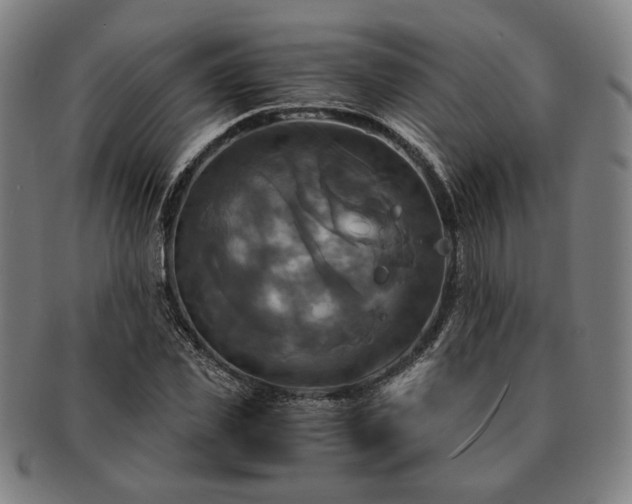 X0000091480925200708231357