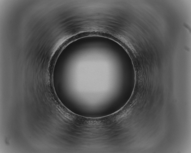 X0000091480927200708231357