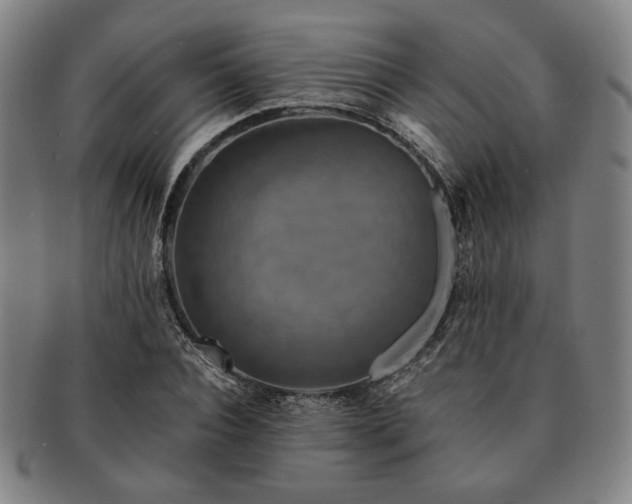 X0000091480928200708231357