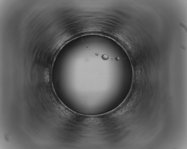 X0000091480929200708231357