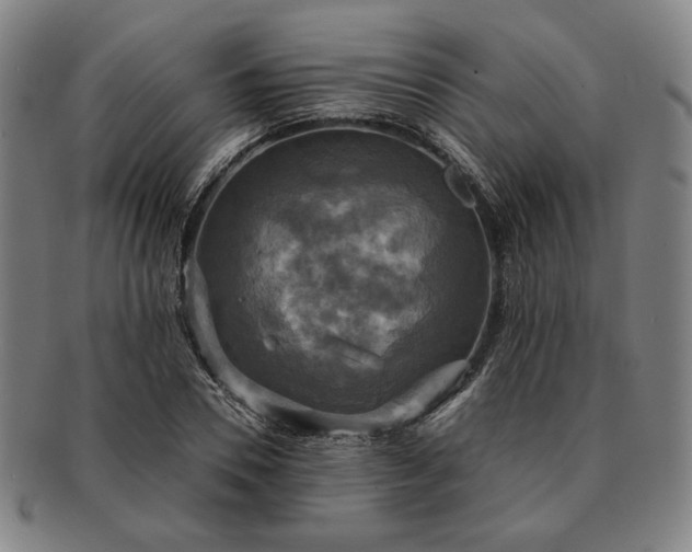 X0000091480930200708231357