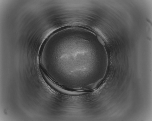 X0000091480932200708231357