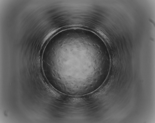 X0000091480933200708231357