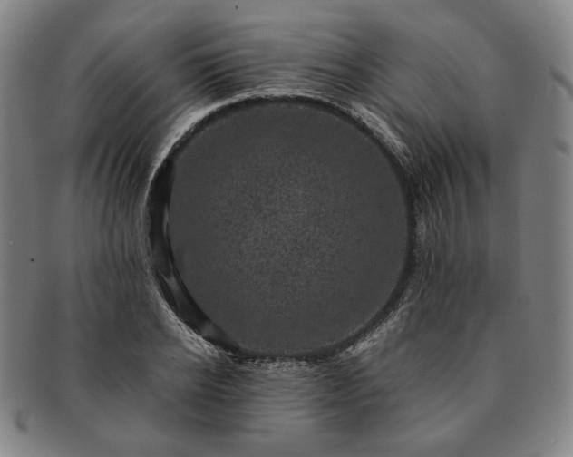 X0000091480934200708231357