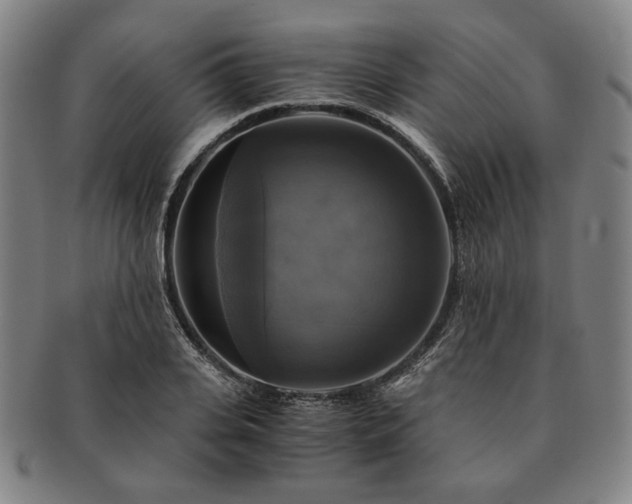 X0000091480935200708231357