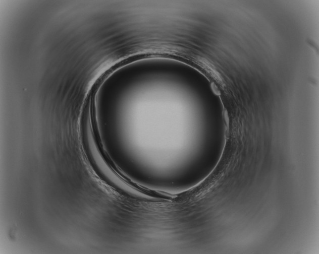 X0000091480936200708231357