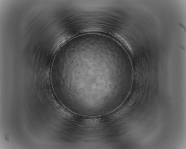 X0000091480937200708231357