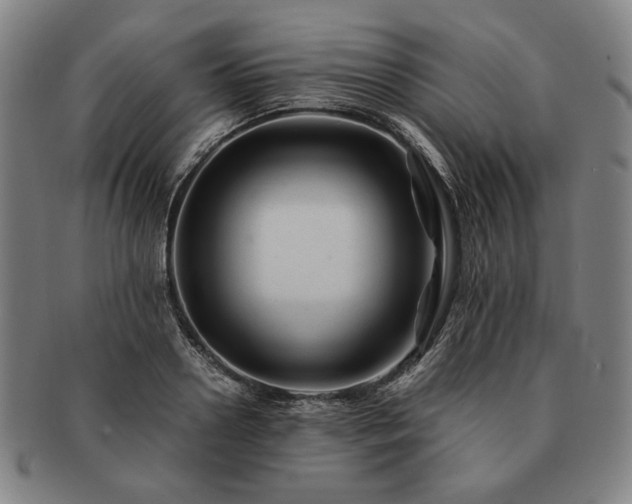 X0000091480938200708231357