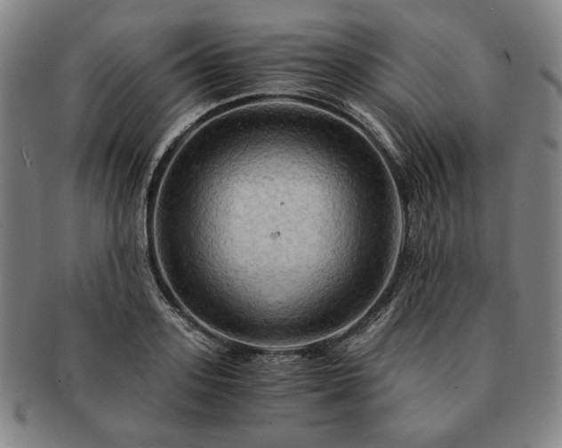 X0000091480939200708231357