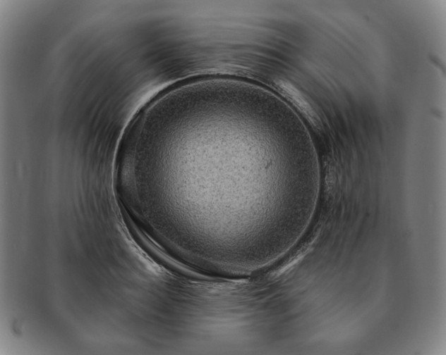 X0000091480940200708231357