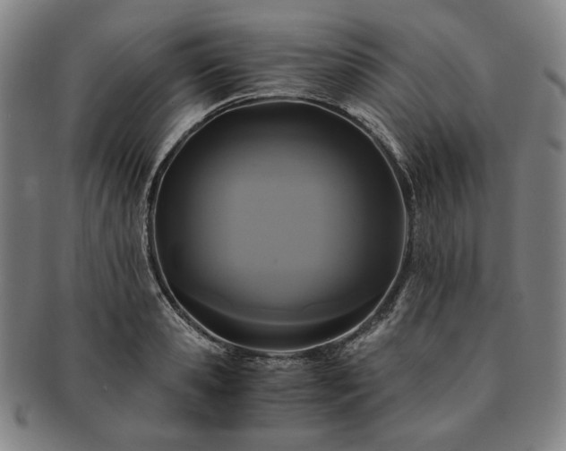 X0000091480941200708231357