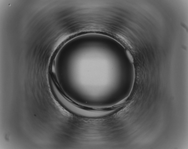 X0000091480942200708231357