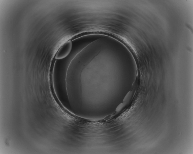 X0000091480943200708231357