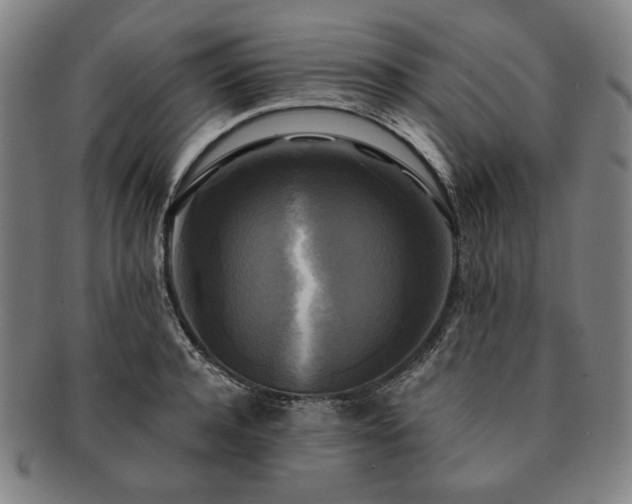 X0000091480944200708231357