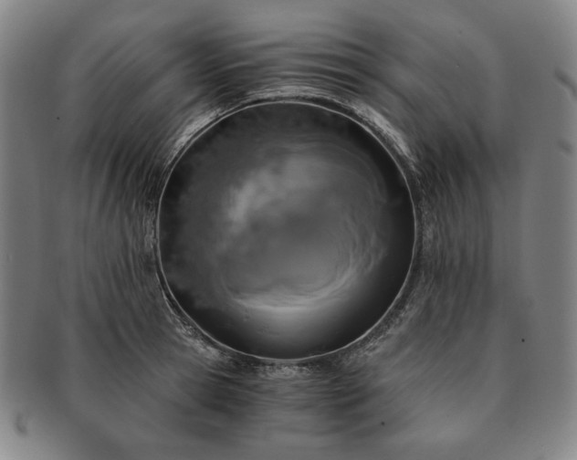 X0000091480945200708231357