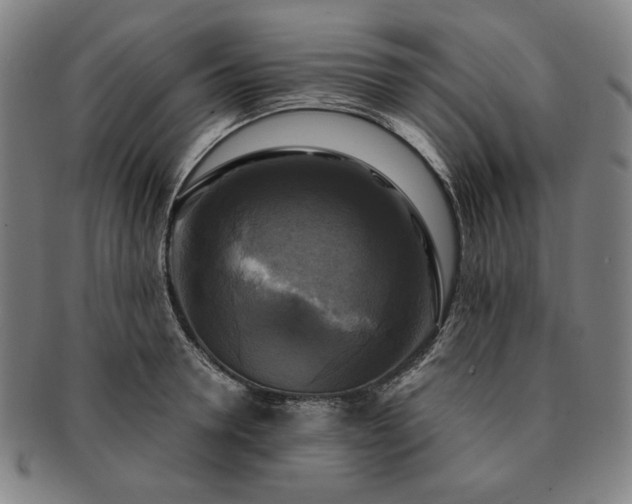 X0000091480946200708231357