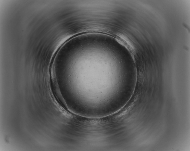 X0000091480948200708231357