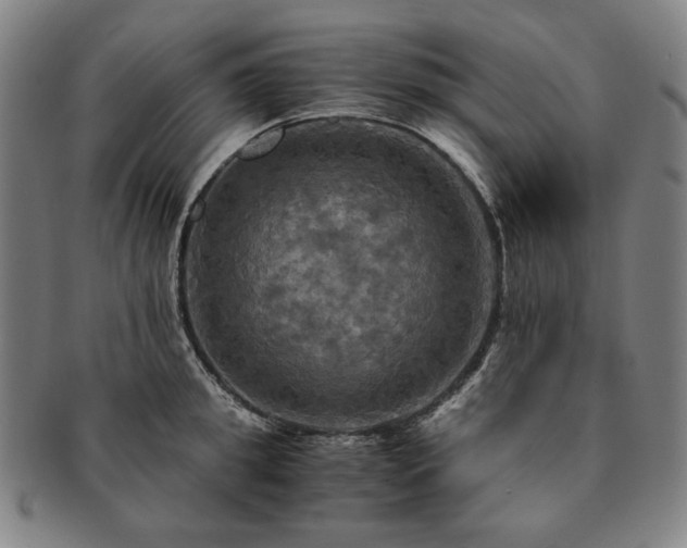 X0000091480949200708231357